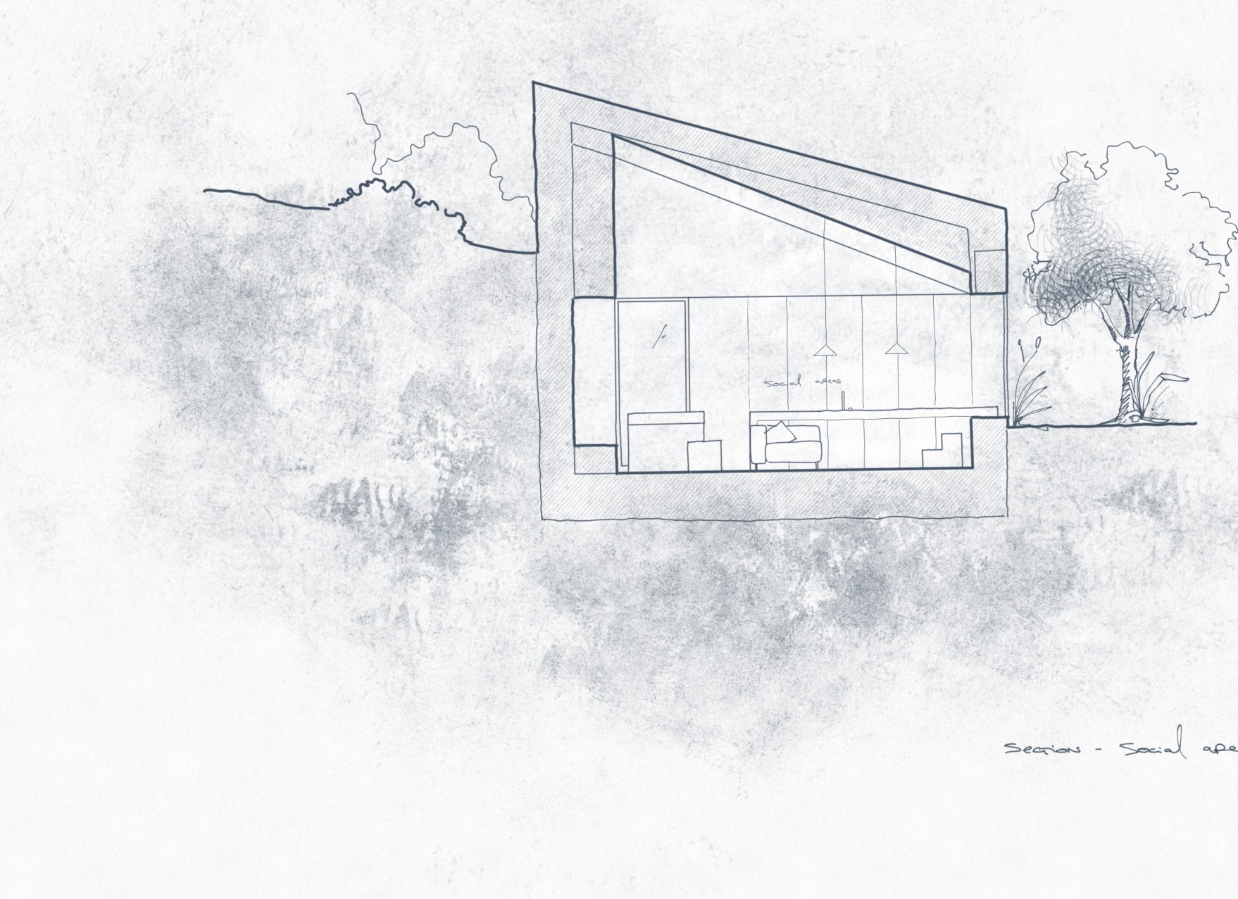 Pencil sketch of a section through the land showing a single tree and the house carved into the slope
